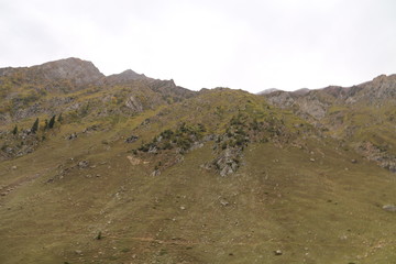 Very closeup view of green mountain in kashmir