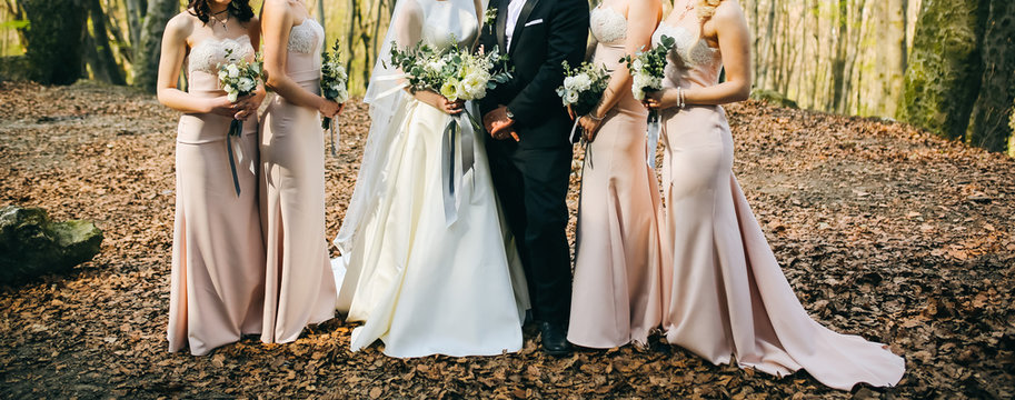 Bridesmaids in powder pink pastel dresses are standing near the bride and groom outdoors. Beautiful girls and wedding couple. Elegant friends photo details with bouquets. Autumn fall day with leaves.
