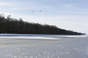 Versailles Chateau in the Snow