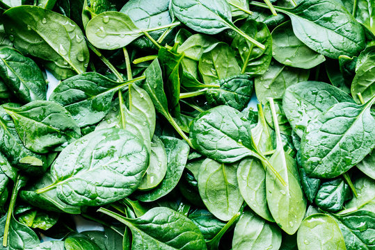 Fresh baby spinach