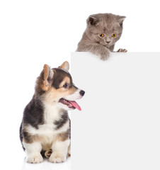Cat and dog peeking over empty white board. isolated on white background. Space for text