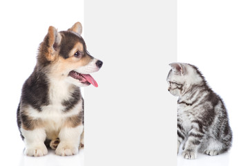 Cat and dog sitting and peeking behind empty white board. isolated on white background. Space for text