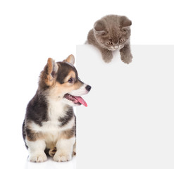 Obraz premium Cat and dog peeking over empty white board. isolated on white background. Space for text