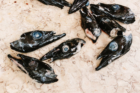 Fish heads for sale at a market in Madeira