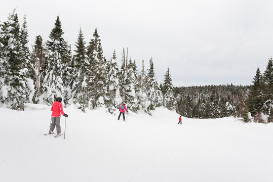 Family skiing together after fresh snowfall