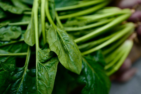 Freshly picked organic spinach and sweet potatoes