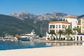 palm trees and yachts on a sunny day in the marina in Porto Montenegro, Tivat