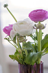 Beautiful pioni flower bouquet for International Women's Day or Valentine's Day