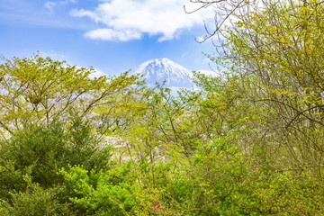 春の富士山、静岡県富士宮市田貫湖にて