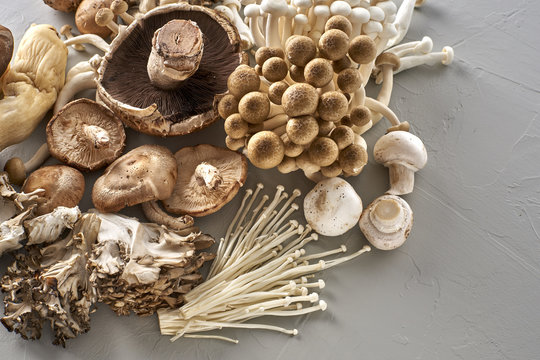 Wholesome Collection of Gourmet Mushrooms with Copy Space