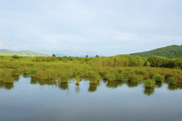 Summer Lake Calm Beach With