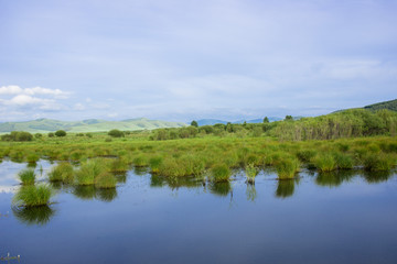 Summer Lake Calm Beach With