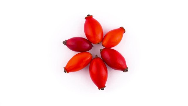 View from above of six star shaped rosa canina hips. Rotating on the turntable isolated on the white background. Close-up. Macro.