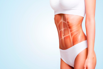 Woman's abs muscle and body structure. Female slender body in underwear isolated on blue background.