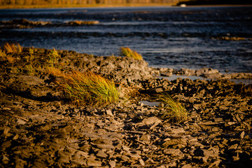 Quiet river water in the evening light  background