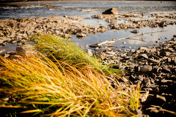 Quiet river water in the evening light  background