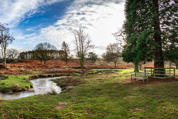 Photo of an English autumn park with a winding river and a wooden bench