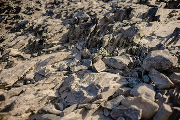 River stones