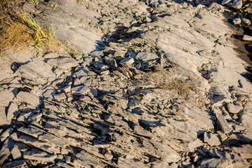 River stones