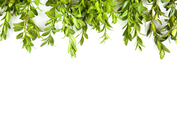 Obraz premium Christmas decoration on white background