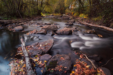 Creekside autumn