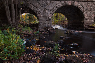 Creekside autumn