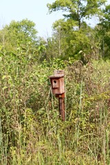 The wooden birdhouse in the tall grass of the prairie field.