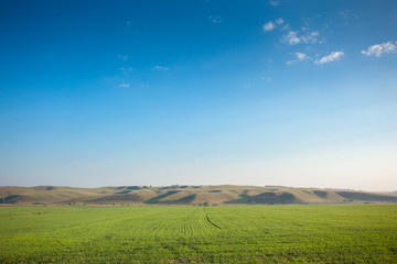 Obraz premium Landscape. Field on a background of hills
