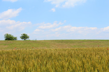 Obraz premium 空と雲と丘