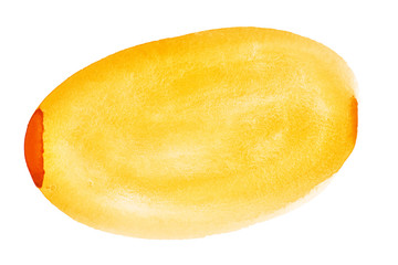 Orange hand drawn warercolor oval