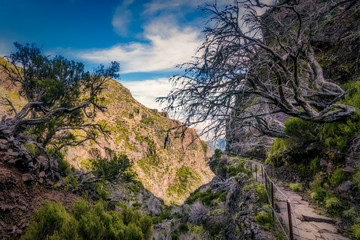 Madeira, Portugal. Hiking path between Pico do Arieiro and Pico do Ruivo above the clouds.