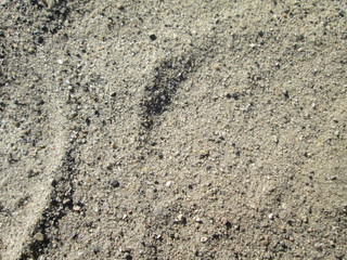 the texture of the sand