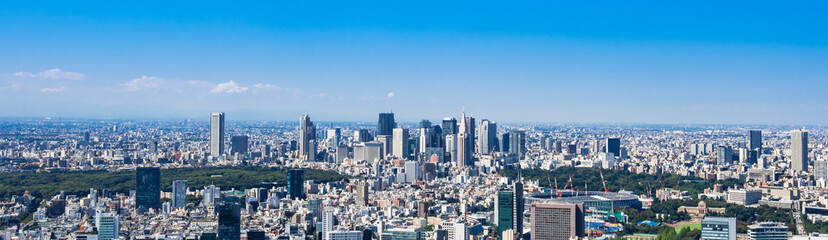 Fototapeta premium 東京 新宿副都心周辺 ワイド