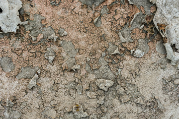 Old and rough wall surface texture. grunge color background