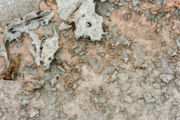 Old and rough wall surface texture. grunge color background