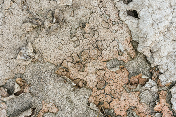 Old and rough wall surface texture. grunge color background
