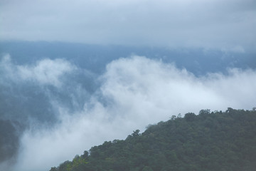 Mountains landscape with fog in the morning, Tropical forest image