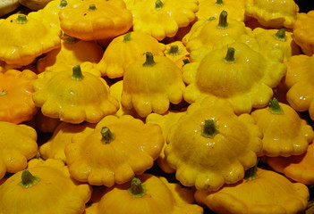 Pâtissons à profusion sur étal de marché