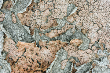 Old and rough wall surface texture. grunge color background