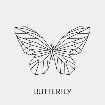 Geometric butterfly. Polygonal linear abstract animal. Vector illustration