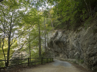 La randonnée de Reigoldswil au vogelberg par la piste bordée de hautes falaises et blocs de rochers