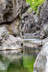 Beautiful natural scene of small river gorge in mountain canyon in Rhodope Mountains, Bulgaria, green reflections in the flowing water from spring green trees