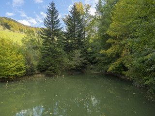 De Reigoldswil au Vogelberg. Un petit étang en bas de la station