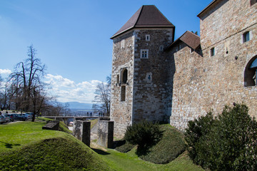 Fototapeta na wymiar Ljubljana Castle