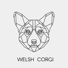 Geometric dog breed Welsh Corgi. Polygonal linear animal head. Vector illustration.