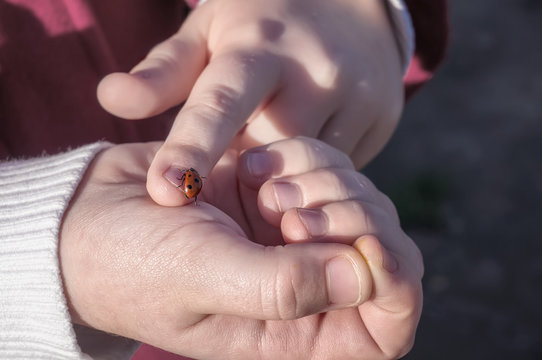 a ladybug sits on a child's hand on a Sunny spring day against a blue sky