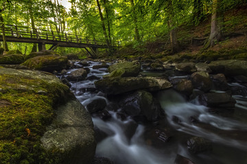 Fluss durch den Wald in Deutschland bei NRW