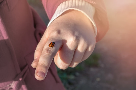 a ladybug sits on a child's hand on a Sunny spring day