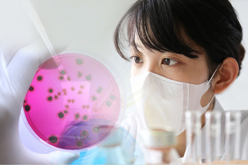 実験する研究者　微生物検査