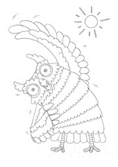 the owl exercising in the morning